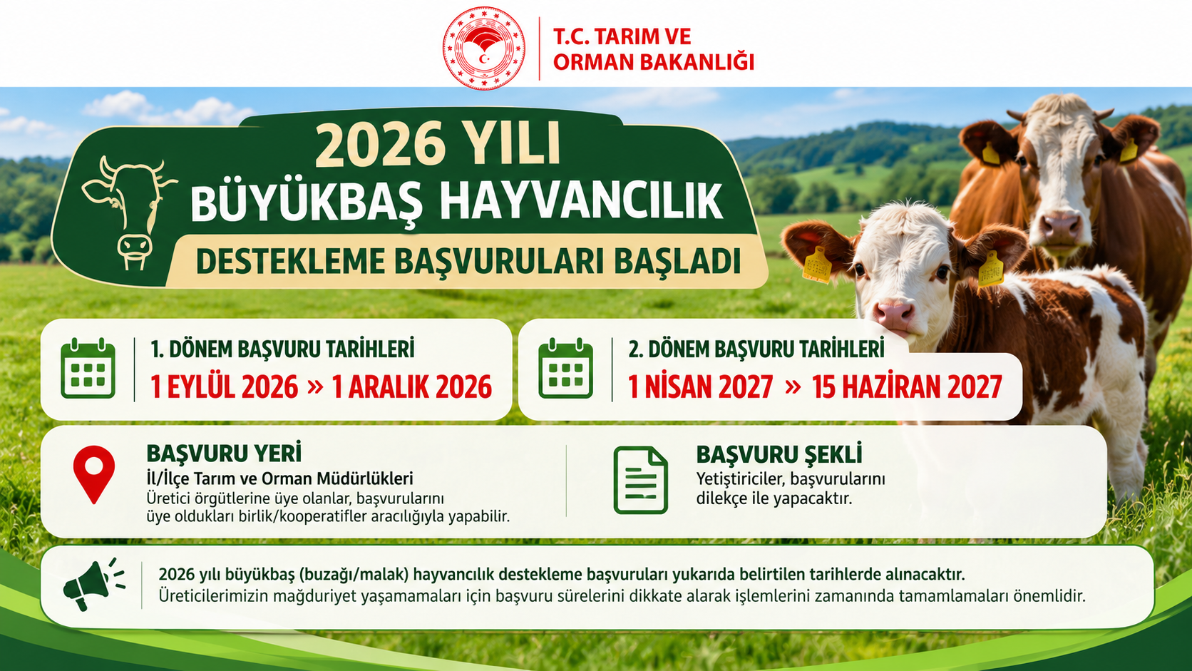 2026 Yılı Büyükbaş Hayvancılık Desteklemeleri Başvuruları